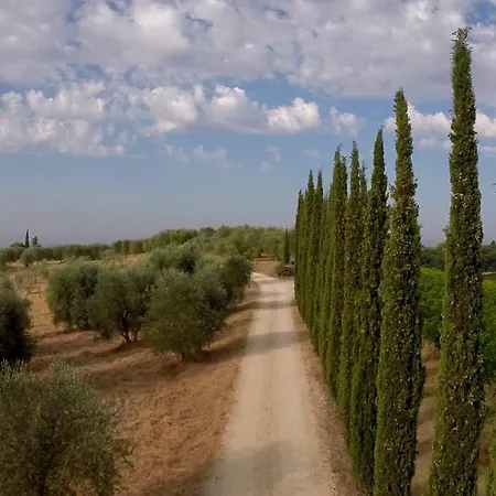 Chianti Design Infinity Pool Shared Bed & Breakfast