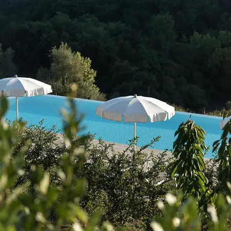 Chianti Design Infinity Pool Shared Pianella (Siena)