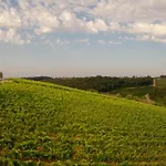 住宿加早餐酒店 Chianti Design Infinity Pool Shared Pianella (Siena)