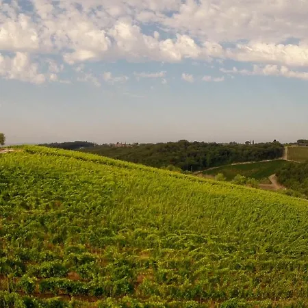 Bed & Breakfast Chianti Design Infinity Pool Shared Pianella (Siena)