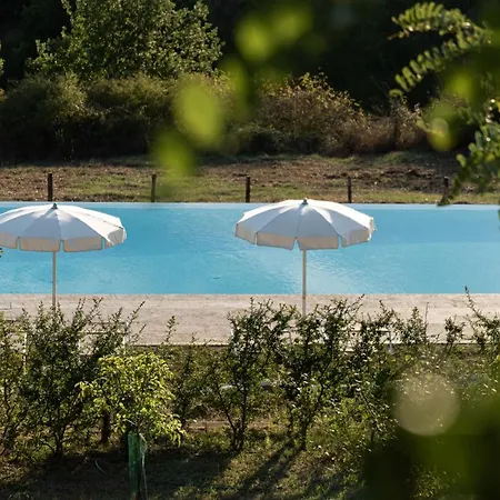 B&B Chianti Design Infinity Pool Shared 피안넬라
