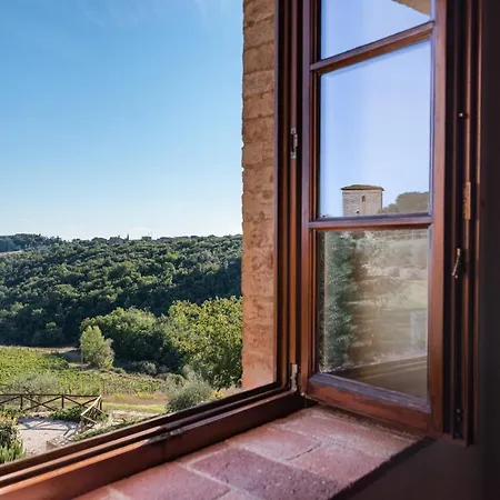 Chianti Design Infinity Pool Shared