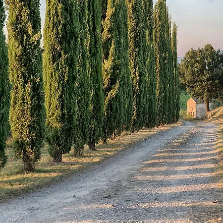 Bed & Breakfast Chianti Design Infinity Pool Shared Pianella (Siena)